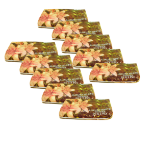10 x 90’s 2 Ply Pillowy Soft Tissues Pack